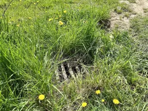 Prodej komerčního pozemku, Stříbro, 7355 m2