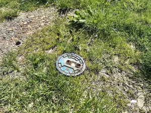 Prodej komerčního pozemku, Stříbro, 7355 m2