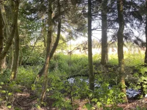 Prodej pozemku pro bydlení, Plzeň, 910 m2