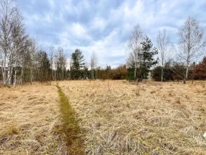 Prodej komerčního pozemku, Dalovice, 11759 m2