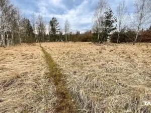 Prodej komerčního pozemku, Dalovice, 11759 m2