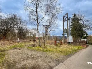 Prodej komerčního pozemku, Dalovice, 11759 m2