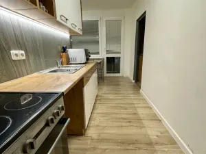 Pronájem bytu 2+1, Roudnice nad Labem, Bořivojova, 55 m2