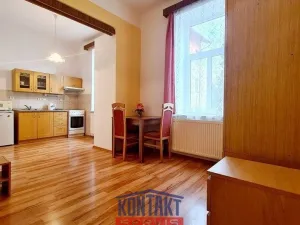 Pronájem bytu 1+kk, České Budějovice - České Budějovice 3, 32 m2