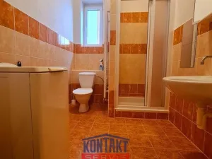 Pronájem bytu 1+kk, České Budějovice - České Budějovice 3, 32 m2