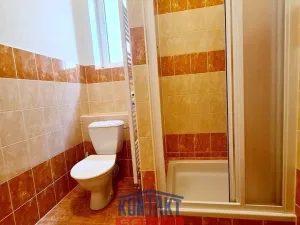 Pronájem bytu 1+kk, České Budějovice - České Budějovice 3, 32 m2