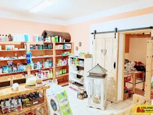 Pronájem obchodního prostoru, Dyje, 69 m2