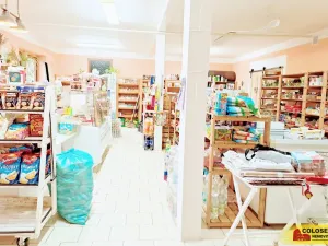 Pronájem obchodního prostoru, Dyje, 69 m2