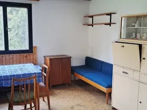 Prodej chaty, Nový Knín, Pod Sady, 34 m2
