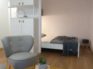 Prodej bytu 1+kk, Pardubice - Zelené Předměstí, Palackého třída, 38 m2