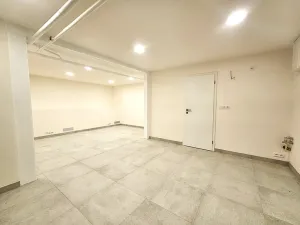 Pronájem kanceláře, Praha, U dělnického cvičiště, 46 m2