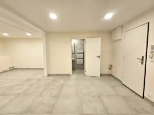 Pronájem kanceláře, Praha, U dělnického cvičiště, 46 m2