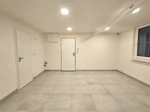 Pronájem kanceláře, Praha, U dělnického cvičiště, 46 m2