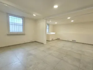 Pronájem kanceláře, Praha, U dělnického cvičiště, 46 m2