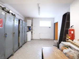 Prodej výrobních prostor, Slaný, Pražská, 665 m2