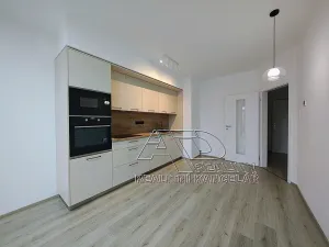 Pronájem bytu 1+kk, České Budějovice, Na Zlaté stoce, 28 m2