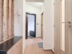 Prodej bytu 2+kk, Ostrava, Cholevova, 45 m2