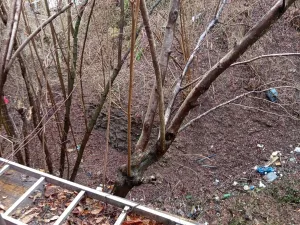 Prodej chaty, Praha, Na Lhotkách, 36 m2