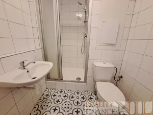 Pronájem bytu 1+kk, Plzeň, U Borského parku, 21 m2