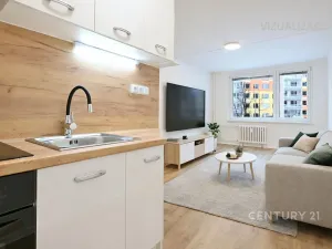 Pronájem bytu 2+kk, Most, Jana Kříže, 40 m2