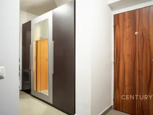 Prodej bytu 2+kk, Plzeň, U Velkého rybníka, 58 m2