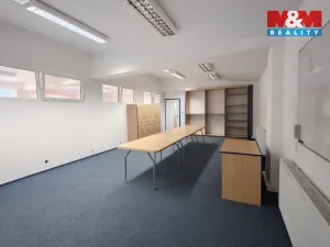 Pronájem obchodního prostoru, Teplice, Dubská, 460 m2