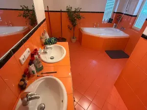 Prodej rodinného domu, Šestajovice, 325 m2