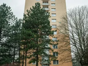 Prodej bytu 1+kk, Brno, Žitná, 29 m2