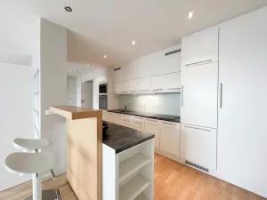 Pronájem bytu 3+kk, Praha - Vinohrady, Boleslavská, 114 m2