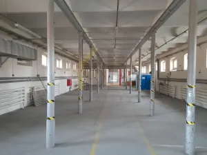 Pronájem skladu, Hodonín, Čajkovského, 800 m2