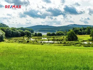 Prodej komerčního pozemku, Nová Pec, 9752 m2