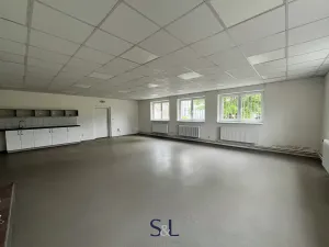 Pronájem skladu, Liberec, Partyzánská, 95 m2