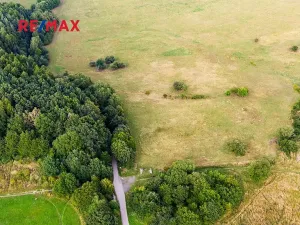 Prodej louky, Česká Lípa, 6261 m2