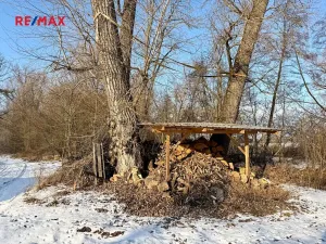 Prodej chaty, Moravany, 12 m2