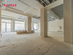 Pronájem obchodního prostoru, Praha - Nové Město, Hybernská, 526 m2
