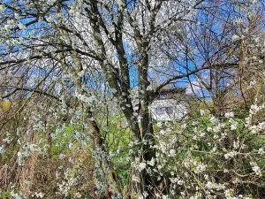 Prodej chaty, Kochánky, 65 m2