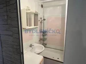 Prodej bytu 1+1, České Budějovice, K. Chocholy, 44 m2