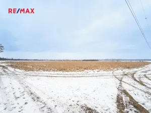 Prodej pole, Veltruby, 10898 m2