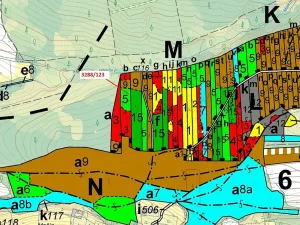 Dražba lesa, Hosty, 1707 m2