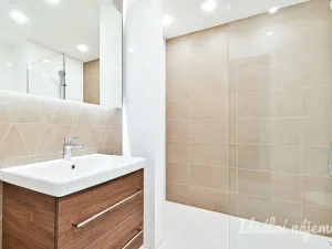 Pronájem bytu 1+kk, Brno, Koliště, 23 m2