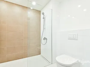 Pronájem bytu 1+kk, Brno, Koliště, 23 m2