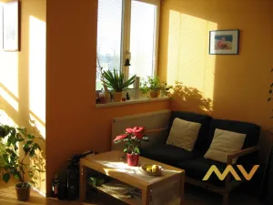 Pronájem bytu 1+kk, Hradec Králové - Třebeš, Ve Stromovce, 31 m2