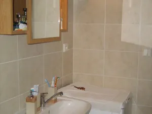 Pronájem bytu 1+kk, Hradec Králové - Třebeš, Ve Stromovce, 31 m2