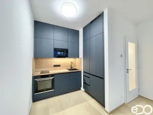 Pronájem bytu 2+kk, Praha, Hasilova, 41 m2