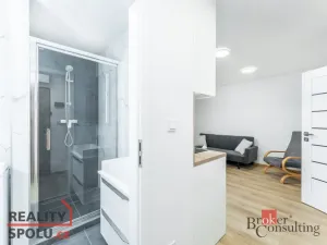 Pronájem bytu 3+kk, Praha - Libeň, Sokolovská, 44 m2