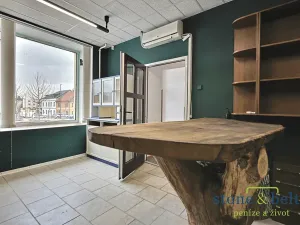 Prodej vícegeneračního domu, Nové Město pod Smrkem, Mírové náměstí, 466 m2