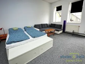 Prodej vícegeneračního domu, Nové Město pod Smrkem, Mírové náměstí, 466 m2