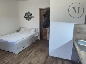 Pronájem bytu 1+kk, České Budějovice, Reinerova, 18 m2