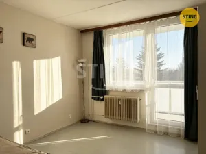 Pronájem bytu 1+1, Žďár nad Sázavou, Haškova, 32 m2