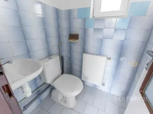 Prodej vícegeneračního domu, Kamýk nad Vltavou, 320 m2